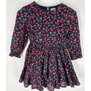 Crewcuts by J.Crew Girls Puff Sleeve Voile Dress Cherry Print Sz 7 Lined Twirly